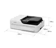 EPSON WORKFORCE DS-1730 TASOSKANNERI - Skannerit - 8715946737560 - 4