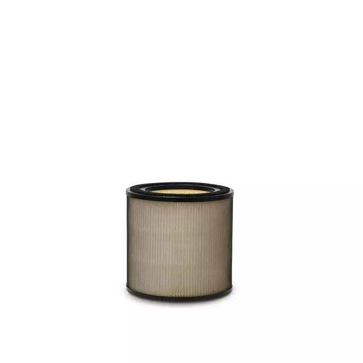 ELECTROLUX BREATHE EFFBTH2 SIITEPÖLYSUODATIN - Sisäilmalaitteet - 7319599040360 - 1