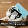 SONY WH-CH530 LANGATTOMAT BLUETOOTH-KUULOKKEET - Langattomat kuulokkeet - 4548736181281 - 6