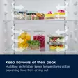 ELECTROLUX LNT6MD32W JÄÄKAAPPIPAKASTIN - Jääkaappipakastimet - 7333394033181 - 2