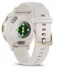 GARMIN VENU 3S IVORY + CREAM GOLD ÄLYKELLO - Älykellot ja aktiivisuusrannekkeet - 753759314811 - 5