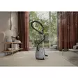 ELECTROLUX EB61A6UG ANIMAL 600 PÖLYNIMURI HARMAA - Pussilliset pölynimurit - 7332543823062 - 2