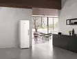 MIELE FNS4782EN KAAPPIPAKASTIN - Kaappipakastimet - 4002516517382 - 4