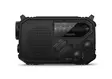 PHILIPS TAR1609/00 SELVIYTYMISRADIO - Analoginen radio - 4895229151192 - 3