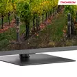 THOMSON 65QG5C14 65" 4K QLED-TV - Yli 60 tuumaiset televisiot - 9120106662313 - 4