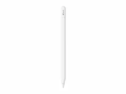 APPLE PENCIL (USB-C) - Tablettien tarvikkeet - 195949133695 - 1
