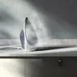 ELECTROLUX E7SI1-4WB SILITYSRAUTA - Silitysraudat - 7332543716265 - 6