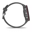 GARMIN FORERUNNER 255 SLATE GREY ÄLYKELLO - Älykellot ja aktiivisuusrannekkeet - 753759279875 - 9