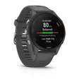 GARMIN FORERUNNER 255 SLATE GREY ÄLYKELLO - Älykellot ja aktiivisuusrannekkeet - 753759279875 - 8