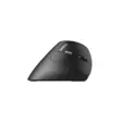 RAPOO MOUSE EV250 2.4 GHZ LANGATON OPTINEN HIIRI MUSTA - Näppäimistöt ja hiiret - 6940056135315 - 2