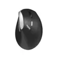 RAPOO MOUSE EV250 2.4 GHZ LANGATON OPTINEN HIIRI MUSTA - Näppäimistöt ja hiiret - 6940056135315 - 1