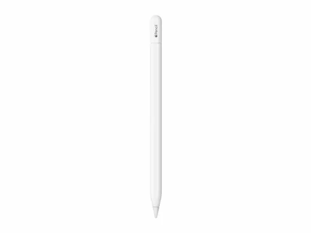 APPLE PENCIL (USB-C) - Tablettien tarvikkeet - 195949133695 - 1