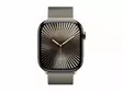 APPLE WATCH S10 GPS+CELLULAR 46MM M/L ÄLYKELLO MILANESE LOOP LUONNONTITAANI - Älykellot ja aktiivisuusrannekkeet - 195949819476 - 2