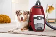 MIELE BLIZZARD CX1 CAT&DOG PUSSITON PÖLYNIMURI - Pussittomat pölynimurit - 4002516555766 - 4