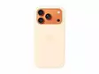 APPLE IPHONE 17 PRO SILICONE CASE - Covers, Bags & Cases - 195951037097 - 1