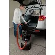 BISSELL 2026M MULTICLEAN WET&DRY DRUM 23L PÖLYNIMURI - Imurointi ja silitys - 11120244977 - 6