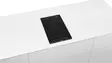 BOSCH PXX375FB1E DOMINO INDUKTIOTASO 30 CM - Liesitasot - 4242002839738 - 4
