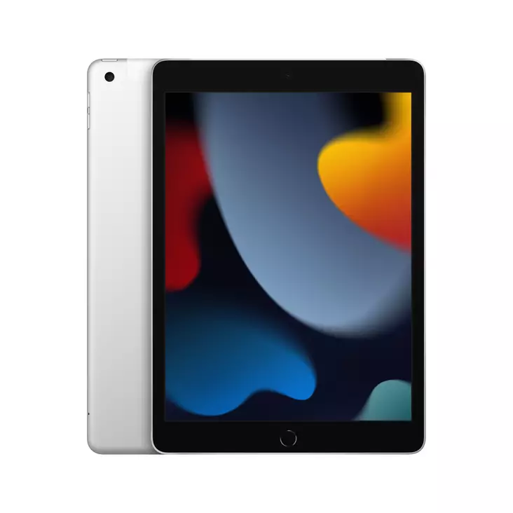 APPLE iPAD 10.2" 2021 4G LTE 256Gb HOPEA - Tabletit ja iPad - 194252522318 - 1