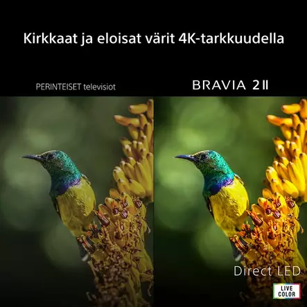 SONY 55" BRAVIA 2 II 4K GOOGLE TV - 51-60 tums TV - 4548736180109 - 2