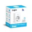 TP-LINK TAPO P100 MINI SMART SOCKET - Smart Home - 4897098681619 - 4