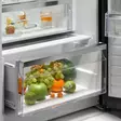 ELECTROLUX LRT7MD39W REFRIGERATOR WHITE - Fridges - 7333394035789 - 10
