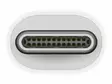 APPLE THUNDERBOLT 3 (USB-C) TO THUNDERBOLT 2 ADAPTER - Kaapelit ja adapterit - 888462859189 - 3
